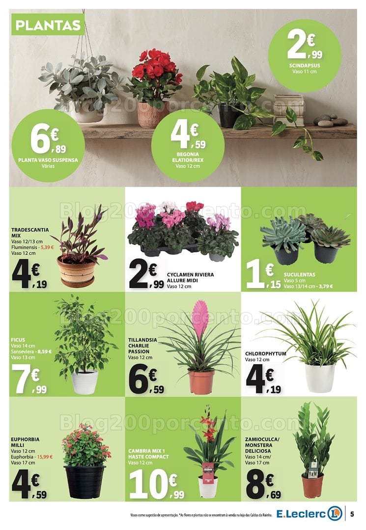 Antevisão Folheto E-LECLERC Bazar Promoções de 8 a 21 outubro